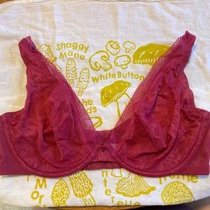 Cacique Plunge Bra Unlined Rose Lace 42DD E